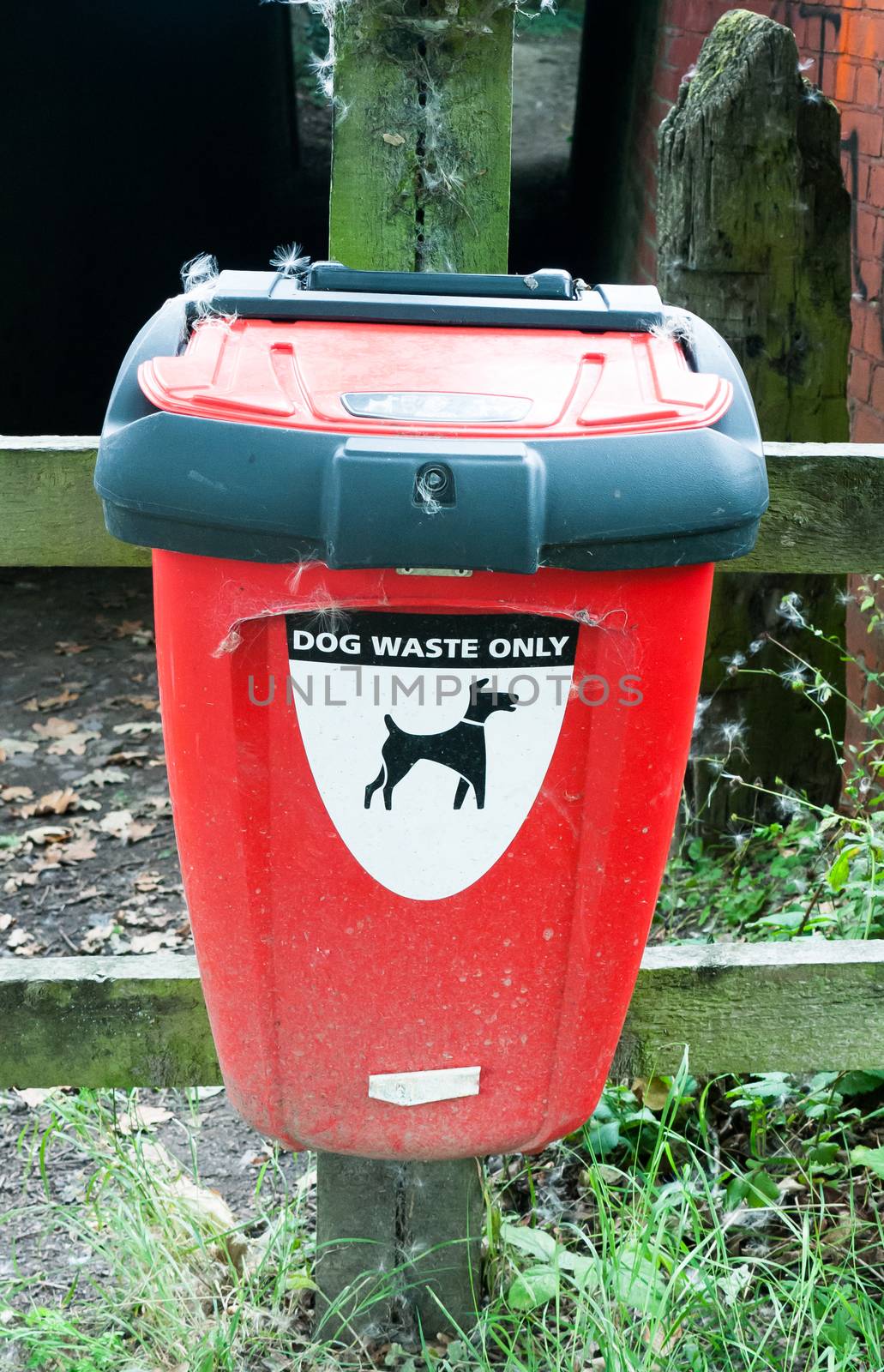 close up red box for disposal of dog waste; UK