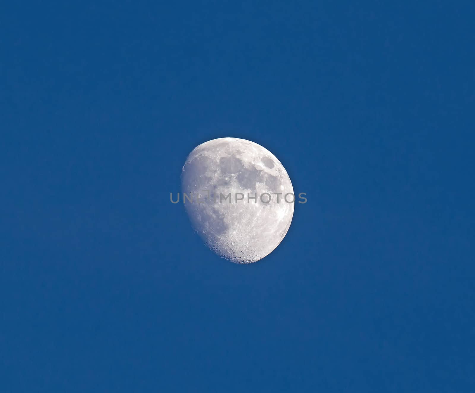 Waxing Gibbous Moon in blue sky of July mid evening. 