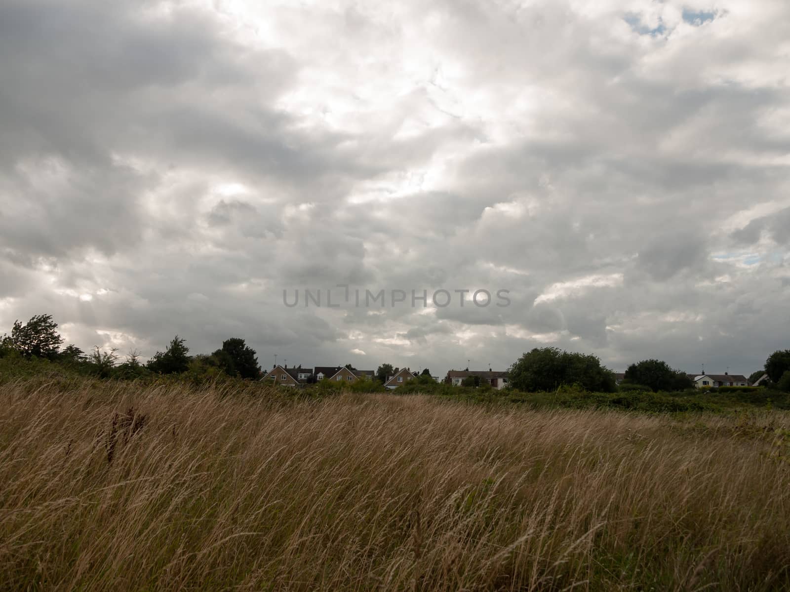 uk sunset over grass field with moody skies and houses and trees; UK
