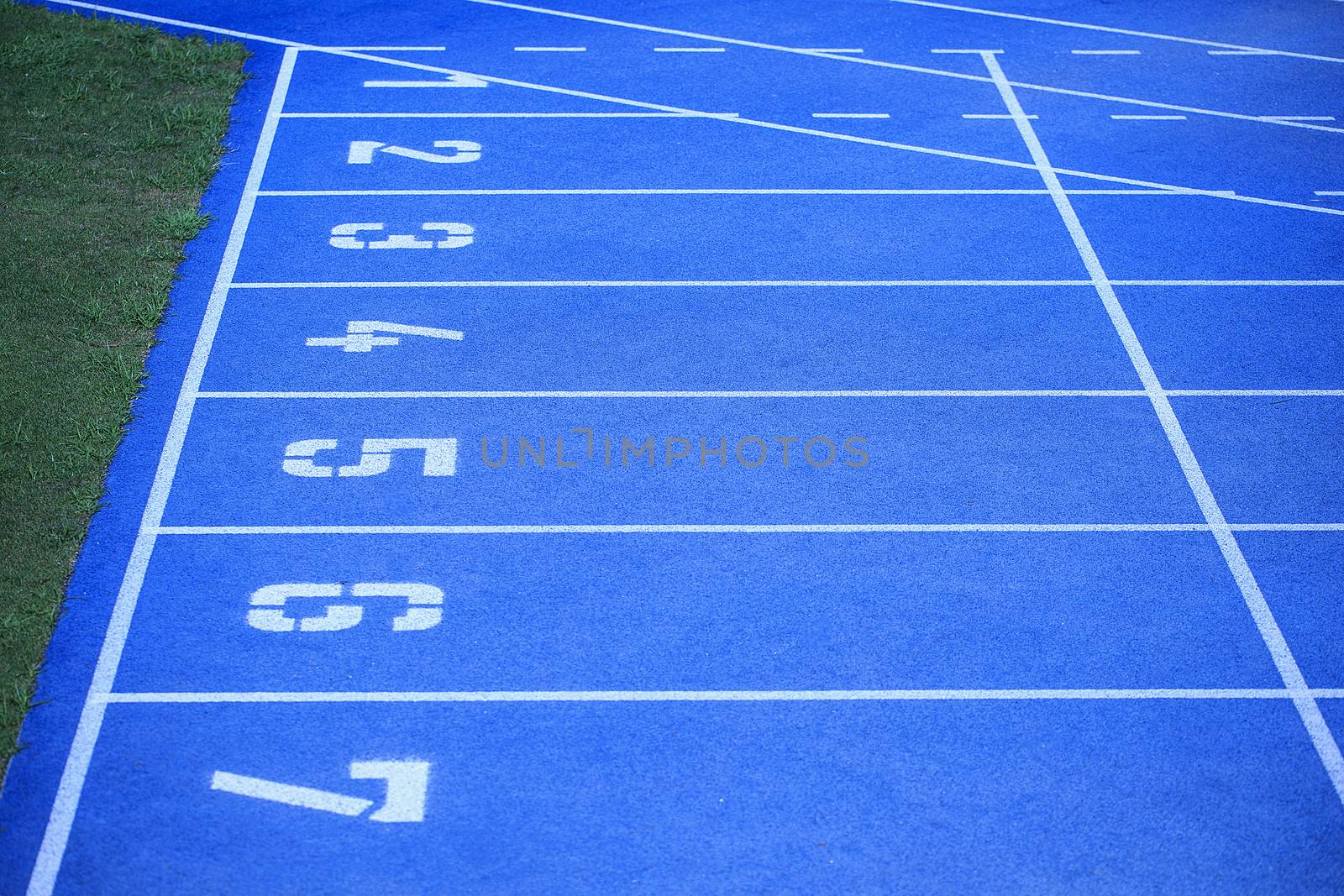 blue athletic court ready for a championship