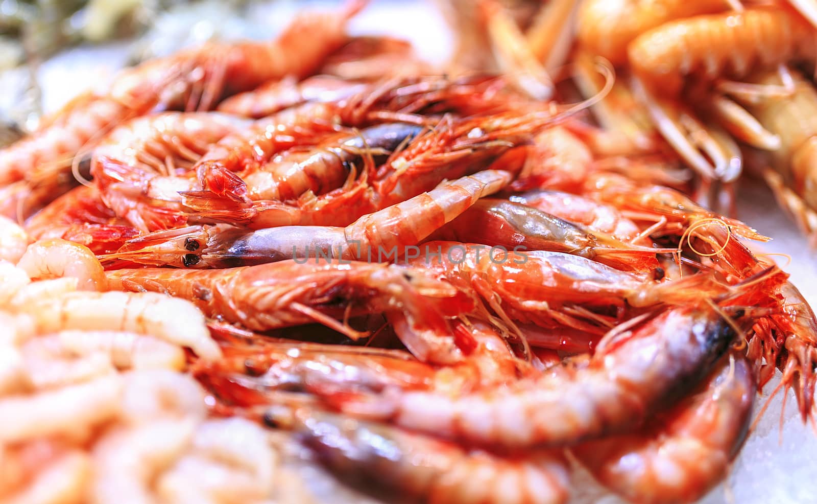 Fresh seafood in a food market of Barcelona