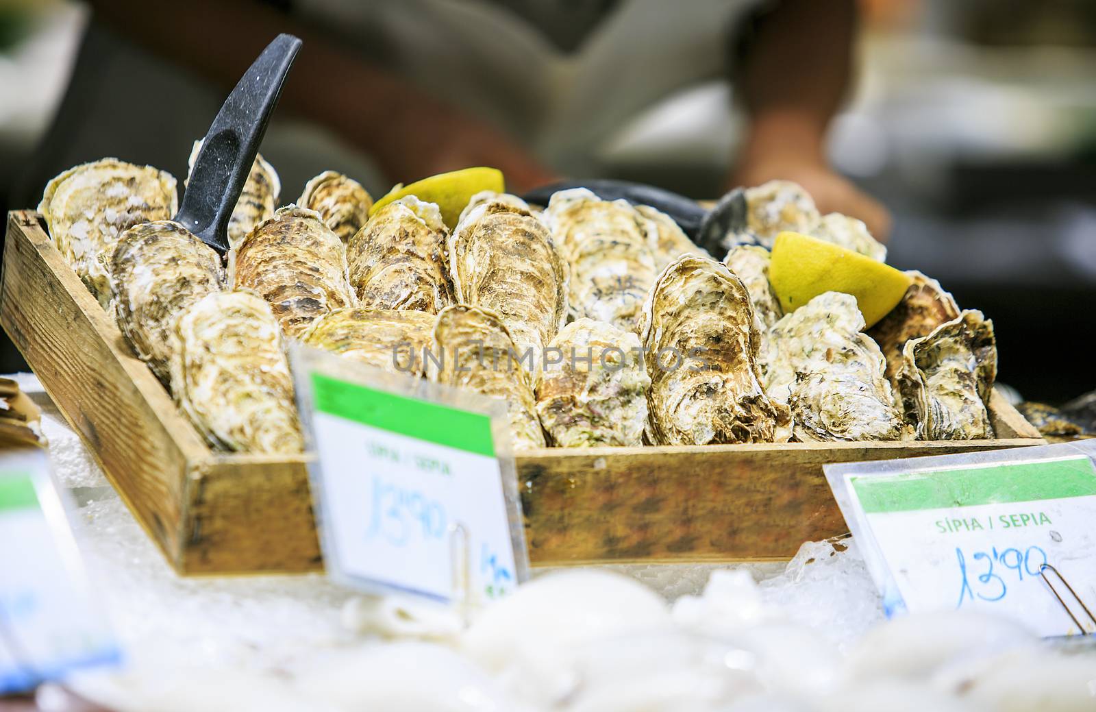 Fresh oysters in a food market of Barcelona