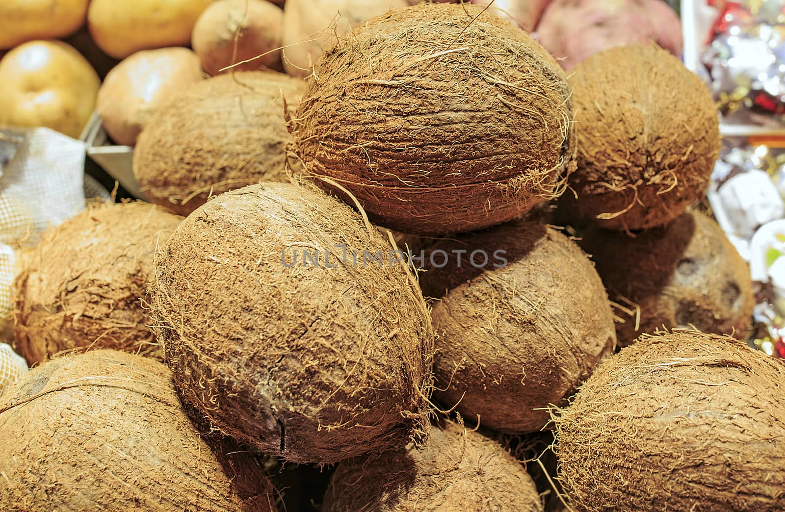 Fresh coconuts in a market of Barcelona