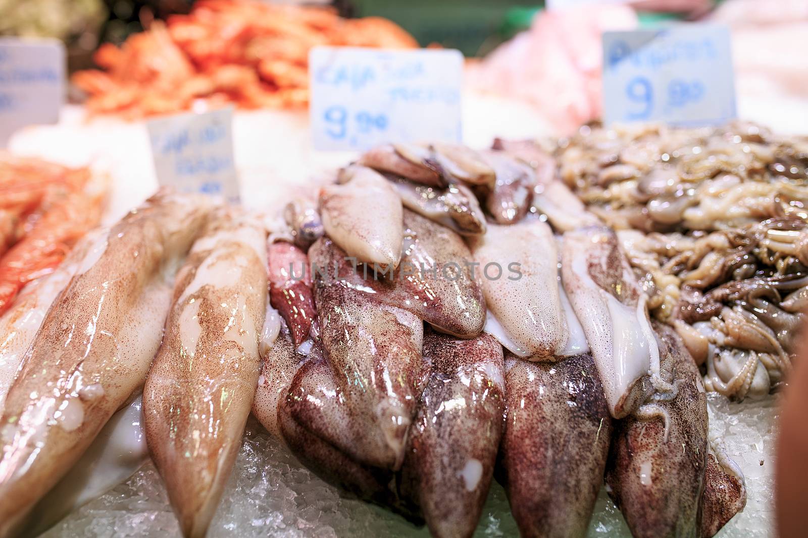 Fresh seafood in a food market of Barcelona