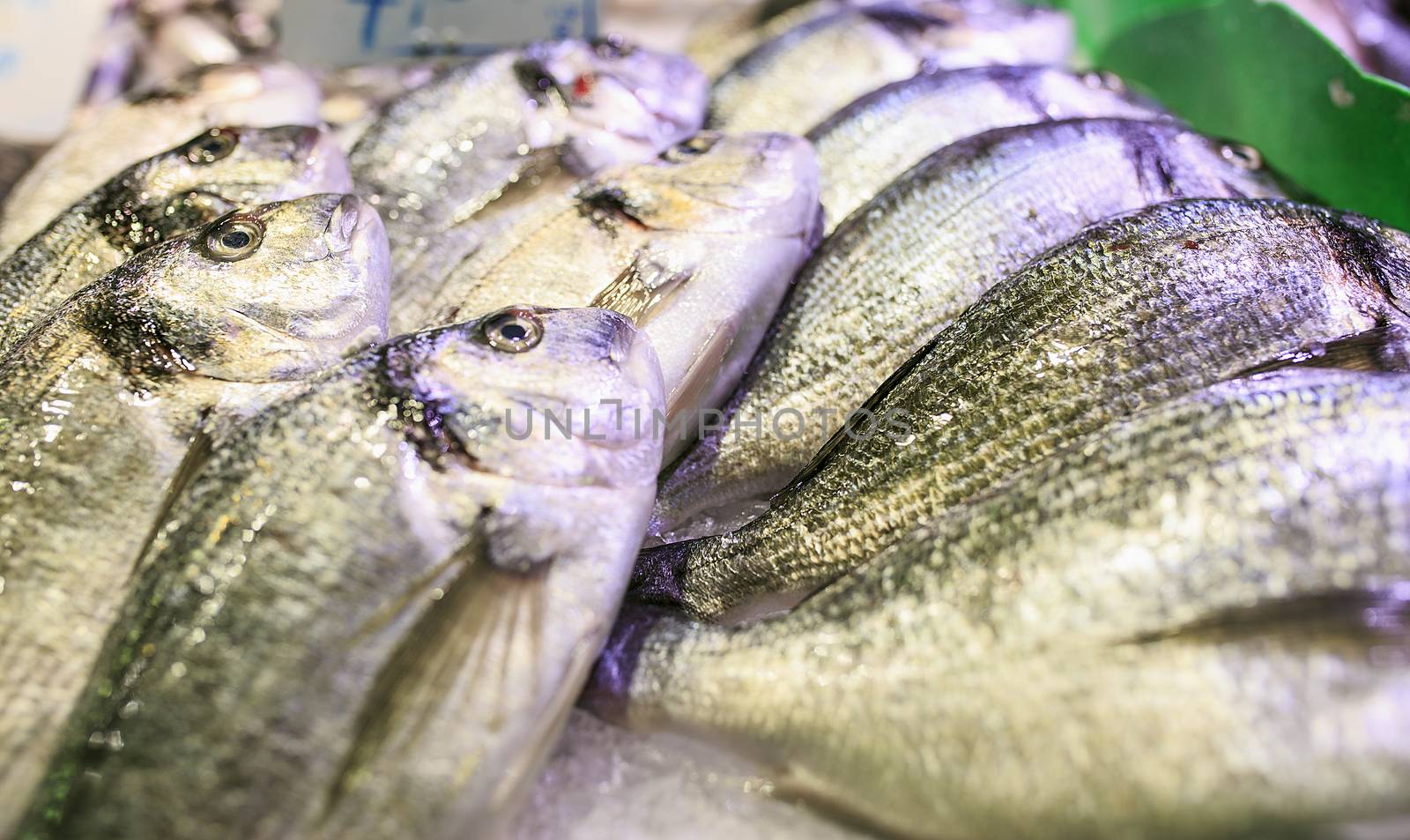 Fresh seafood in a food market of Barcelona