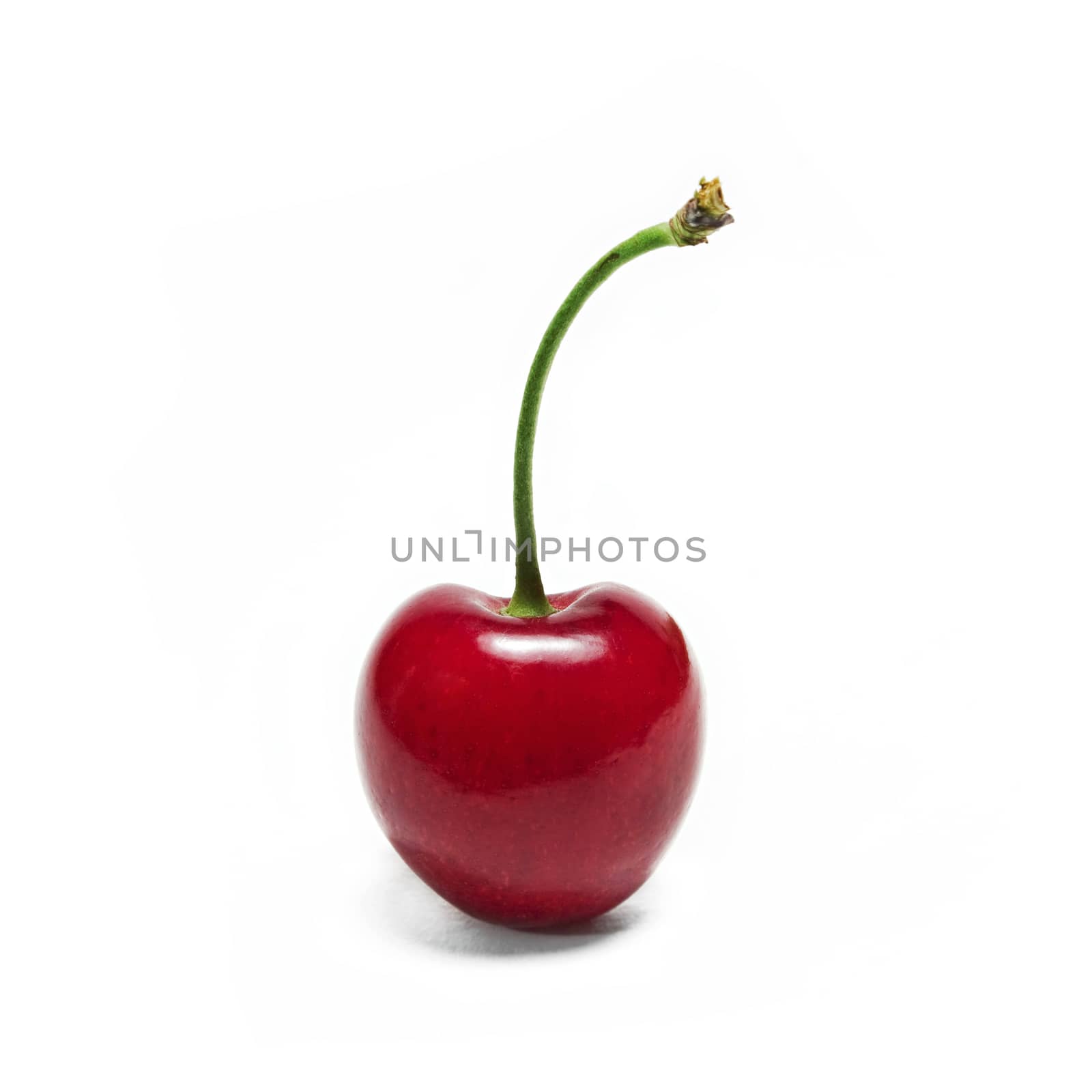 Cherry isolated on white background by ivo_13