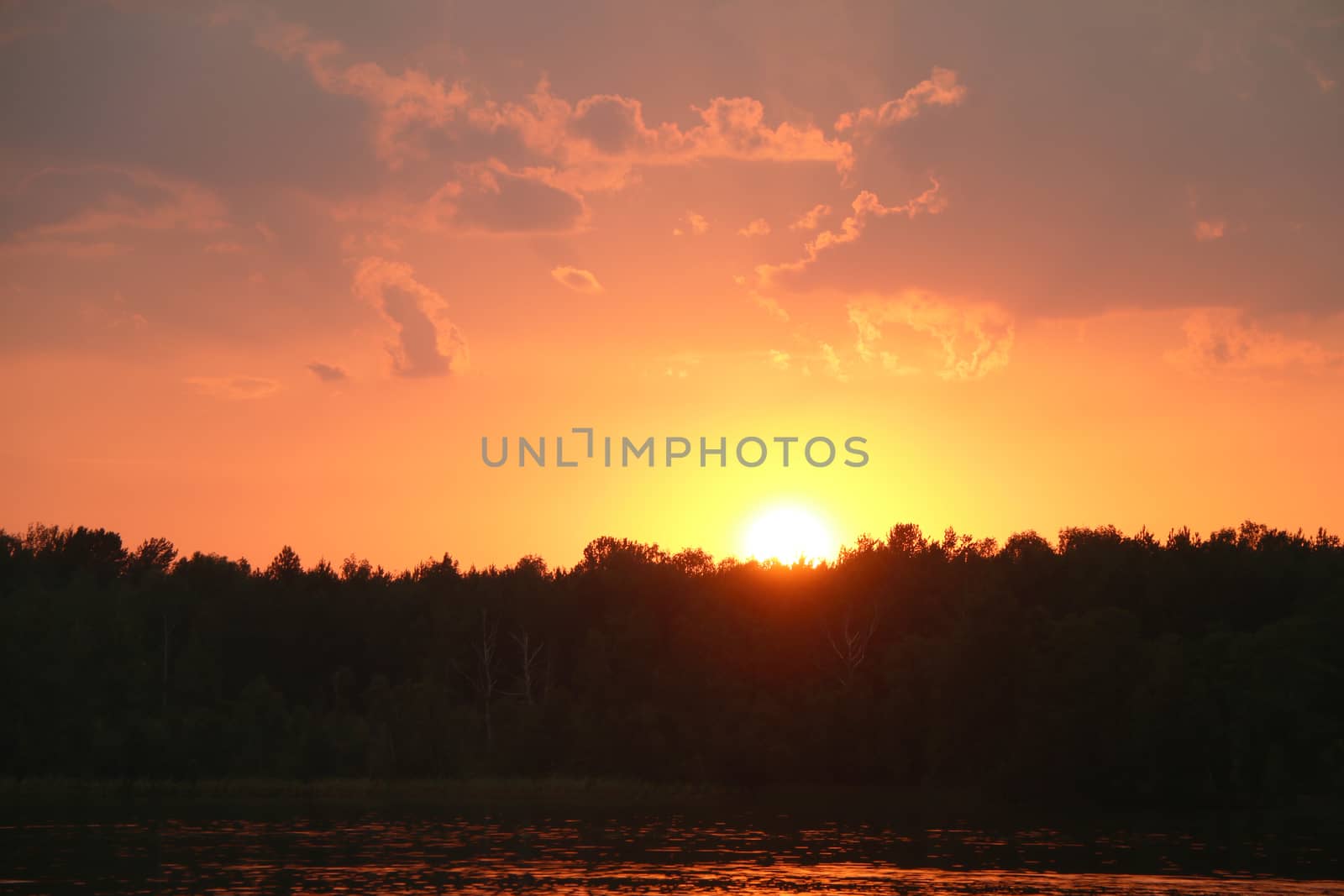 Storm clouds and sunset on forest and lake silhouette background. Nature summer sunlight wallpaper