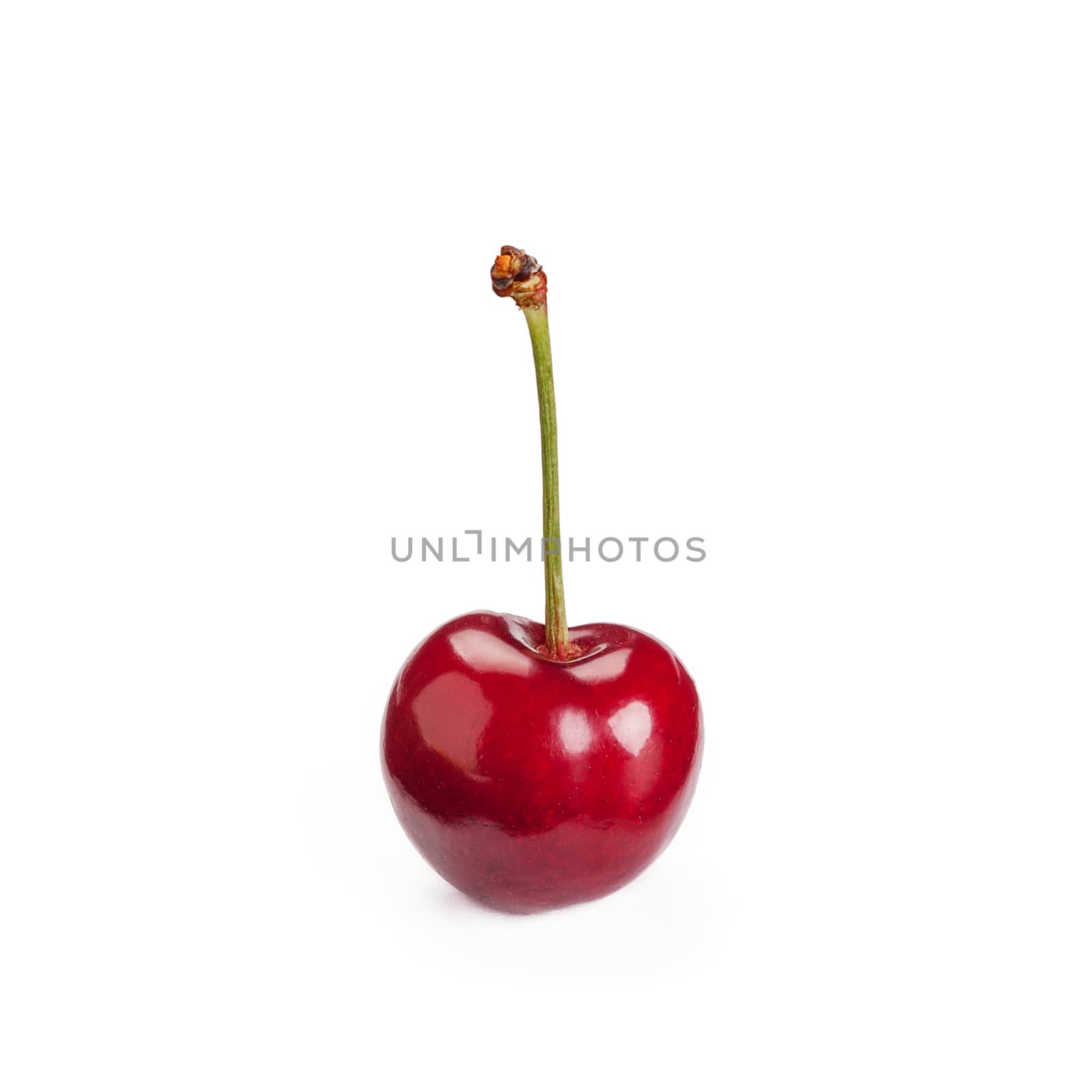 Cherry isolated on white background by ivo_13