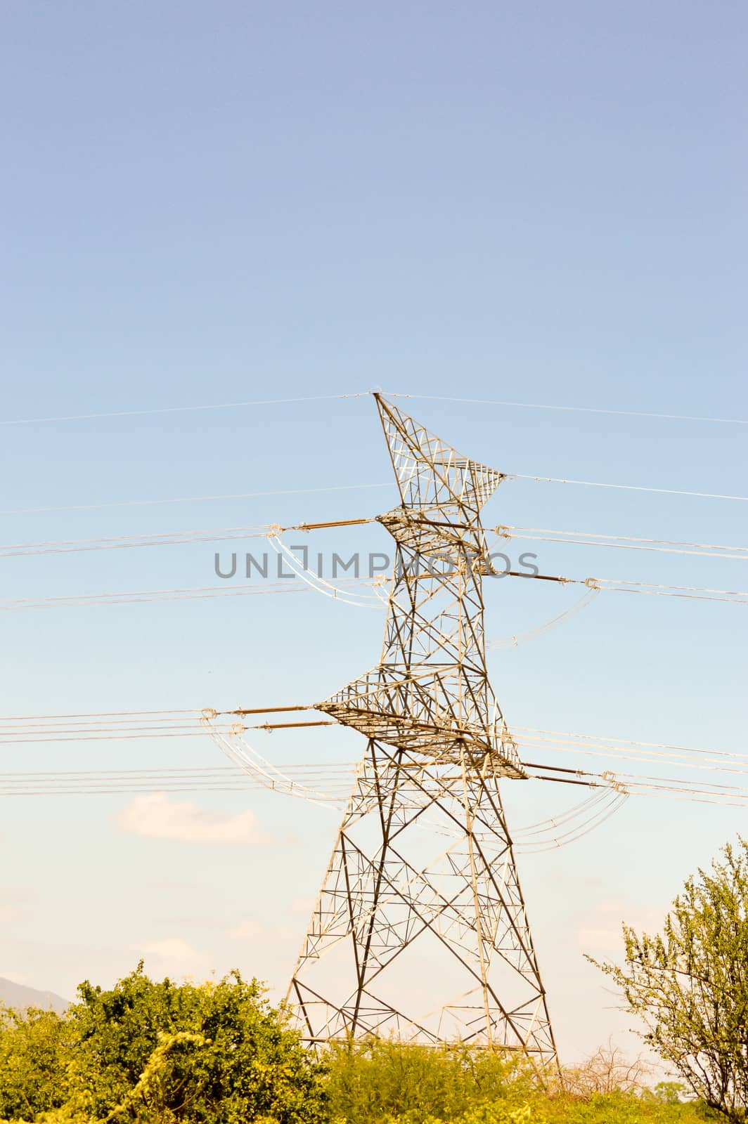 Wooden pole on the point of falling at sunrise on the road from Mombasa to Nairobi in Africa