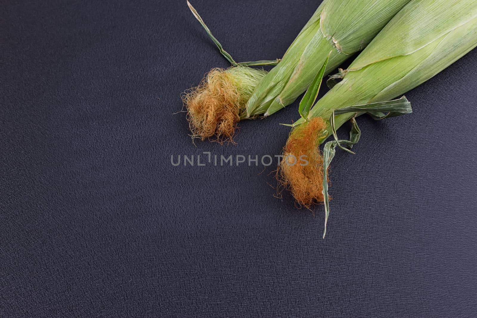 Fresh, juicy, raw corn on a black stone background