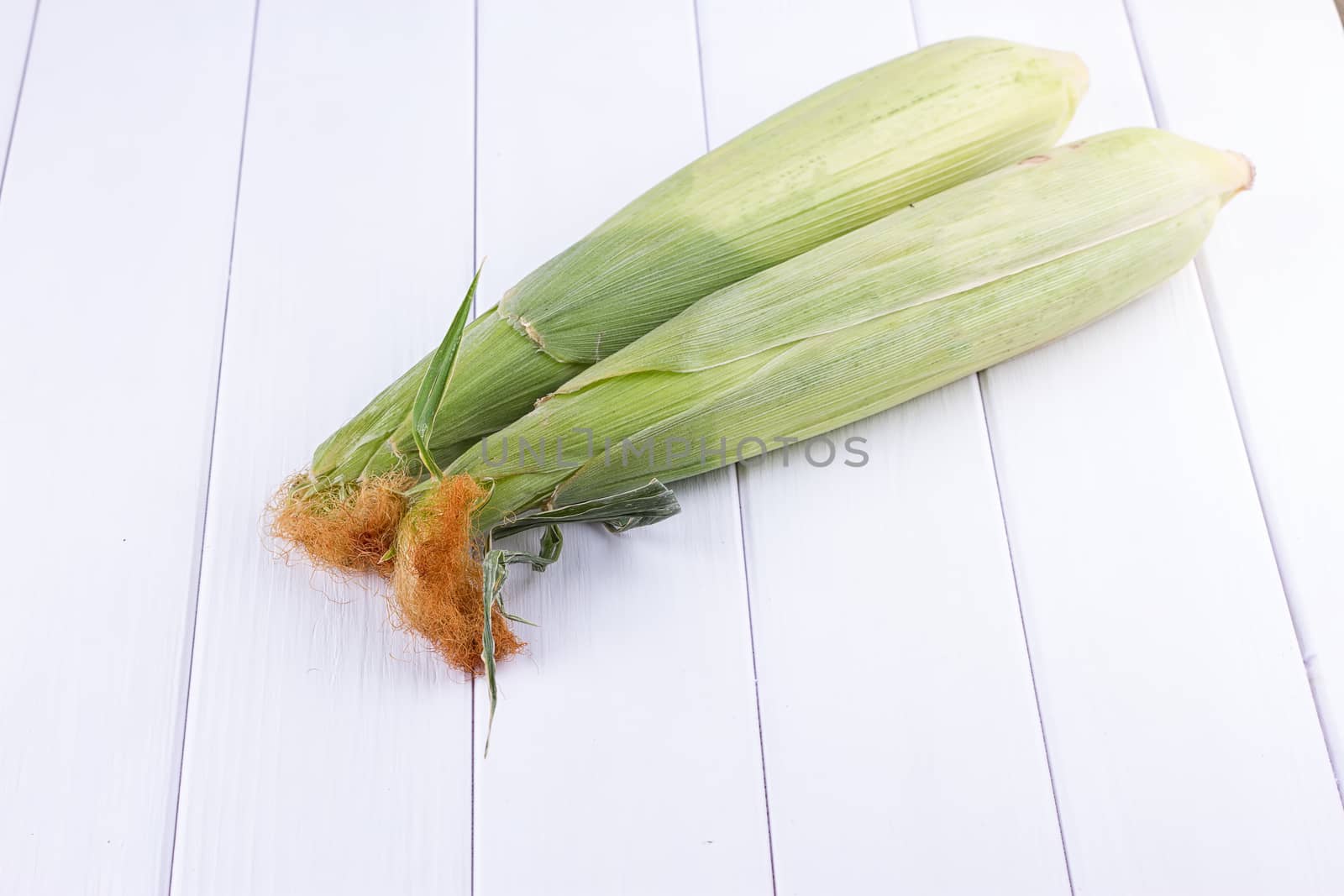 Corn on white background by victosha