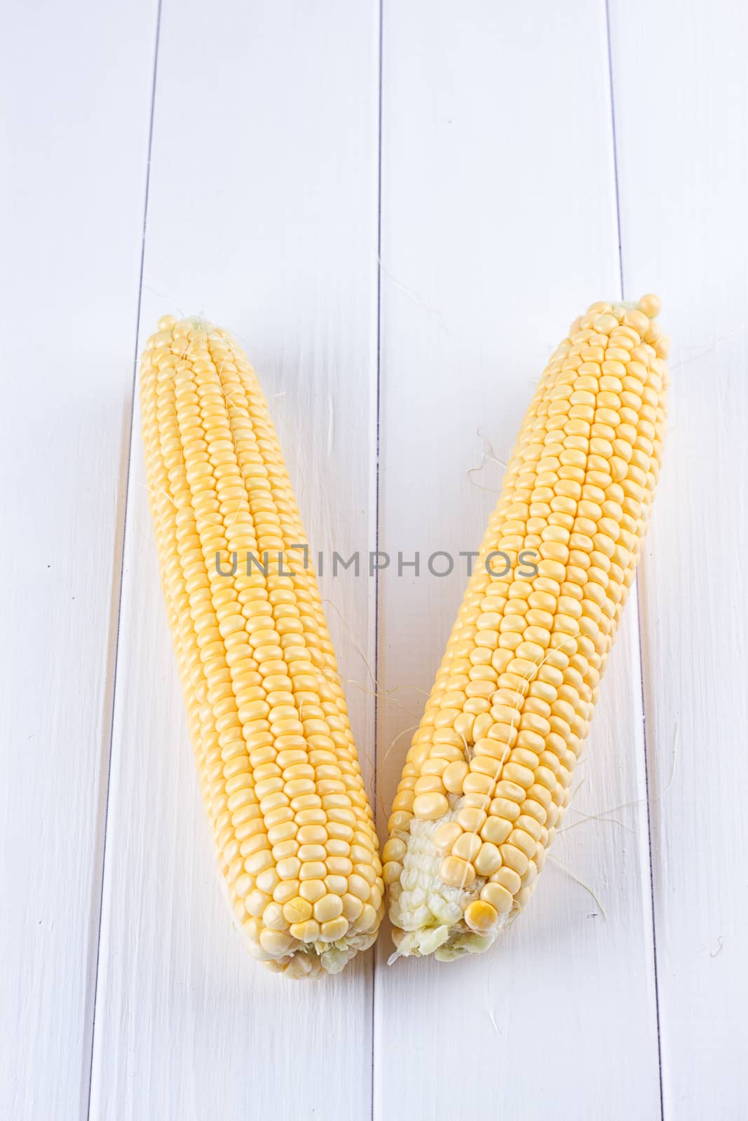 Two raw maize cobs by victosha