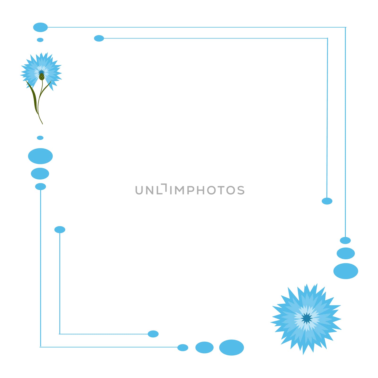Frame with blue flower cornflower isolated on white background. Cartoon centaurea cyanus illustration