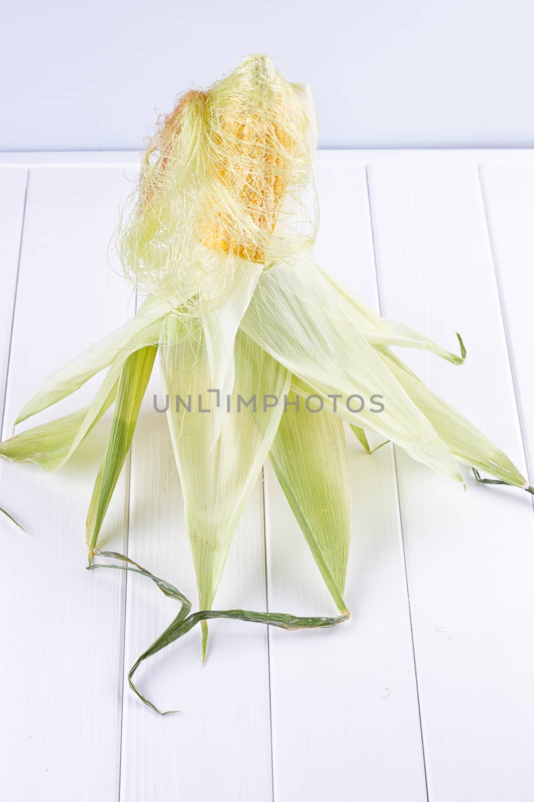single corn on white background by victosha