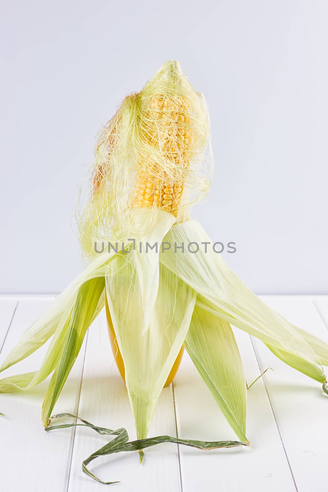 single corn on the white wooden background