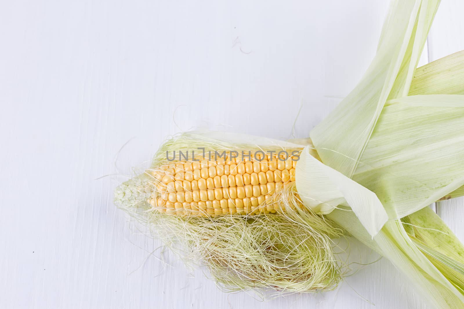 fresh corns on the wooden white background