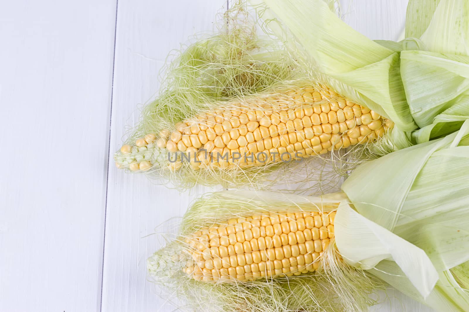 fresh corns on the wooden white background