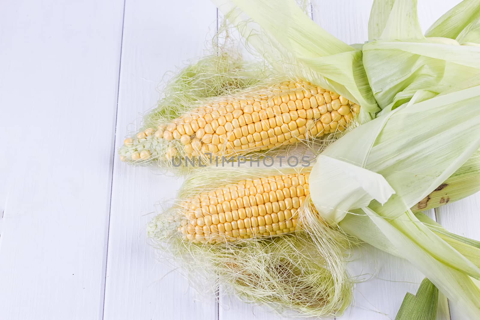 fresh corns on the wooden white background