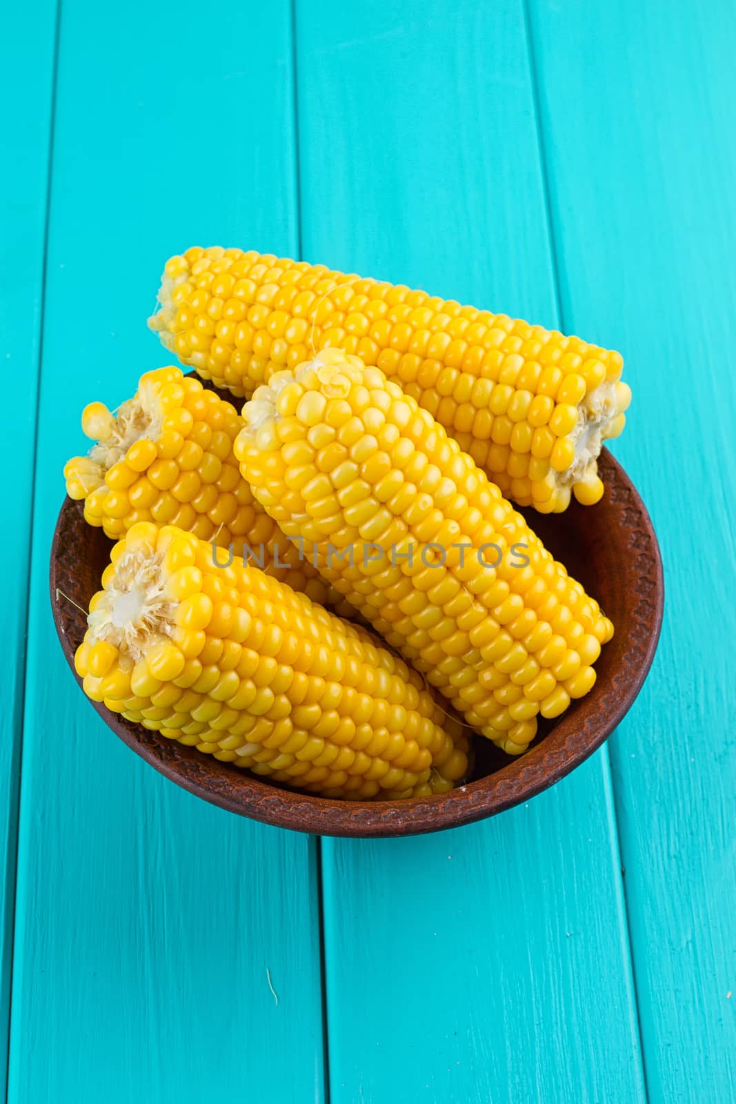 Boiled corn on a blue background by victosha