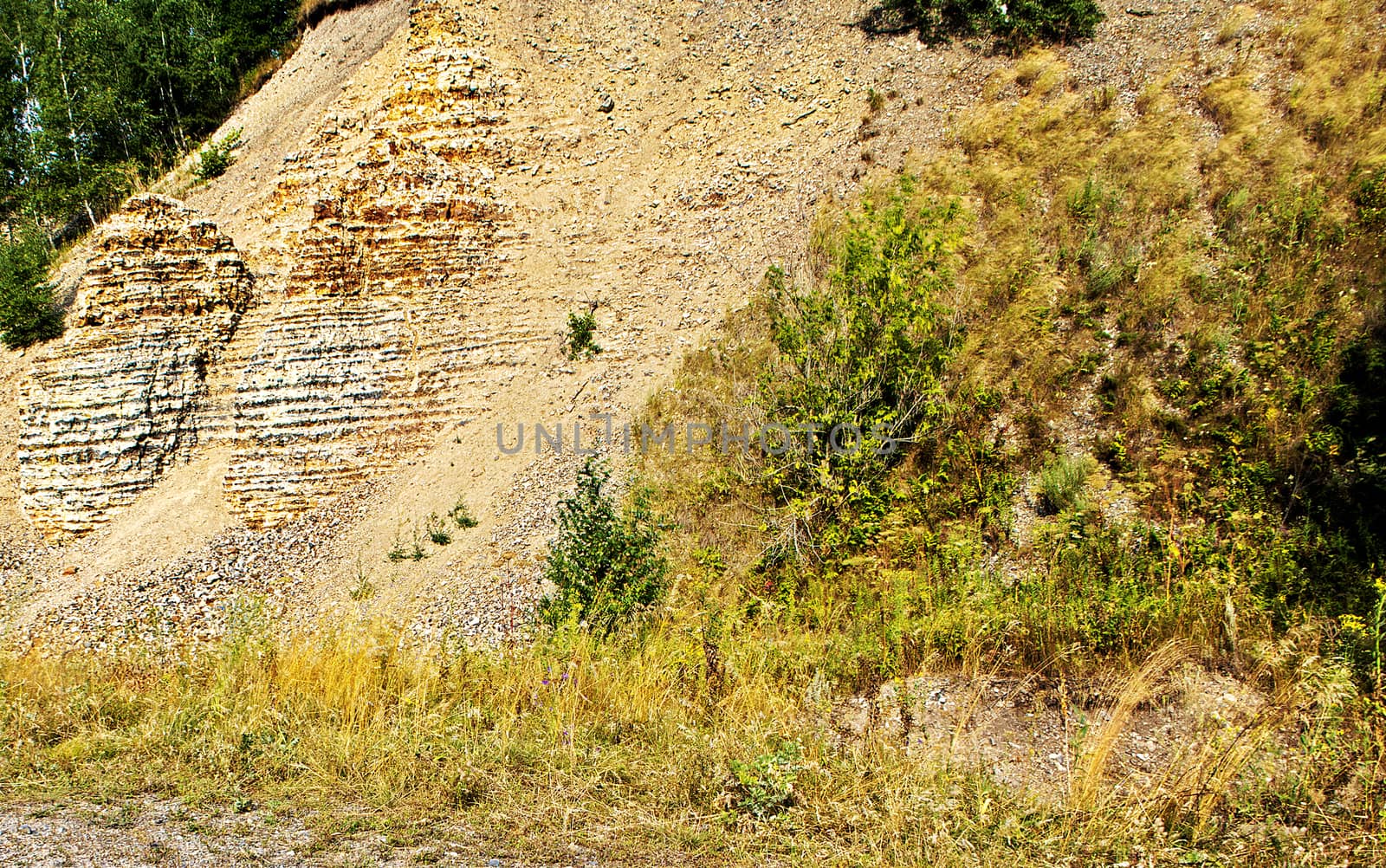 Slope of a small mountain of limestone and plants growing on it on a summer day.