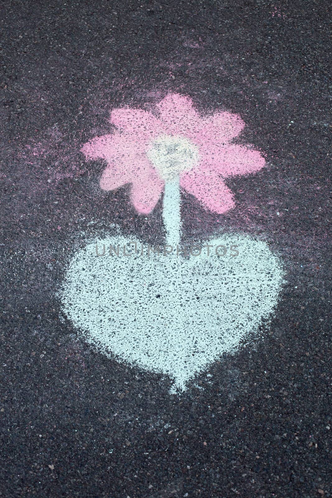 chalk drawing flower on asphalt, road
