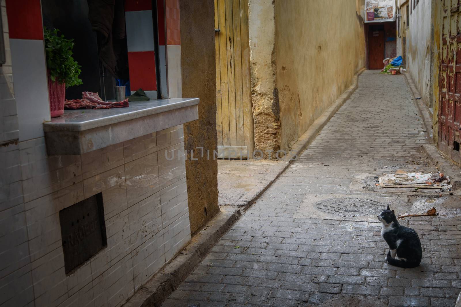 Traditional Moroccan market (souk) in Fez, Morocco by johnnychaos