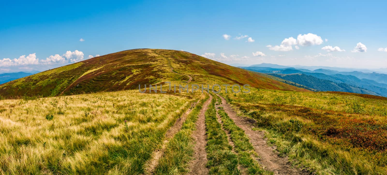 panorama with dirt road through grassy meadow on mountain ridge. beautiful summer landscape in carpathians