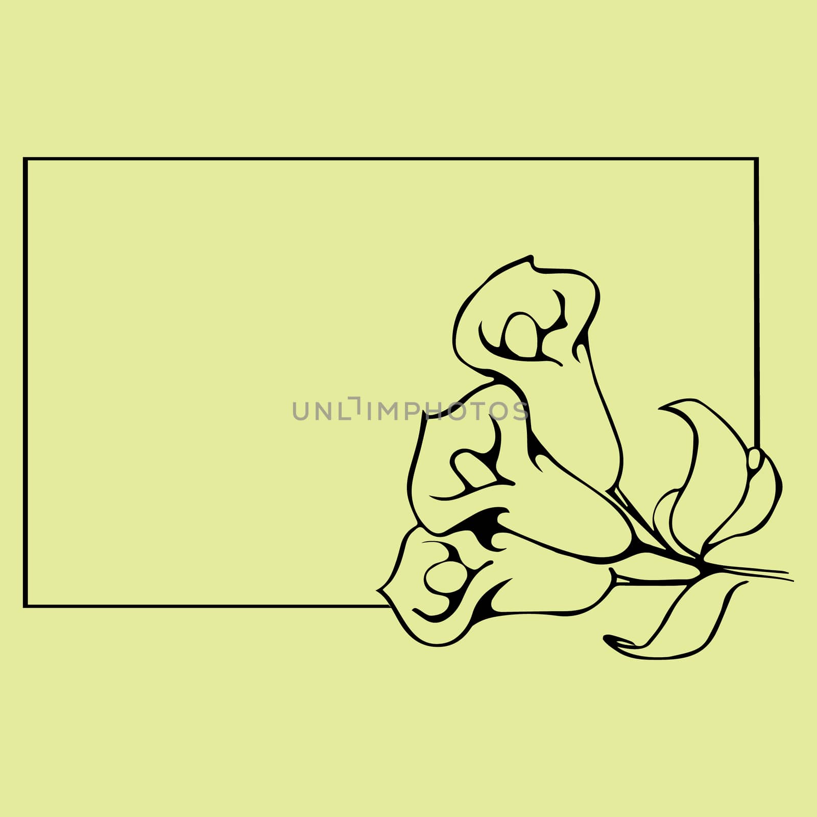 Flower graphic design. floral hand drawn element for decoration and design. Black image.