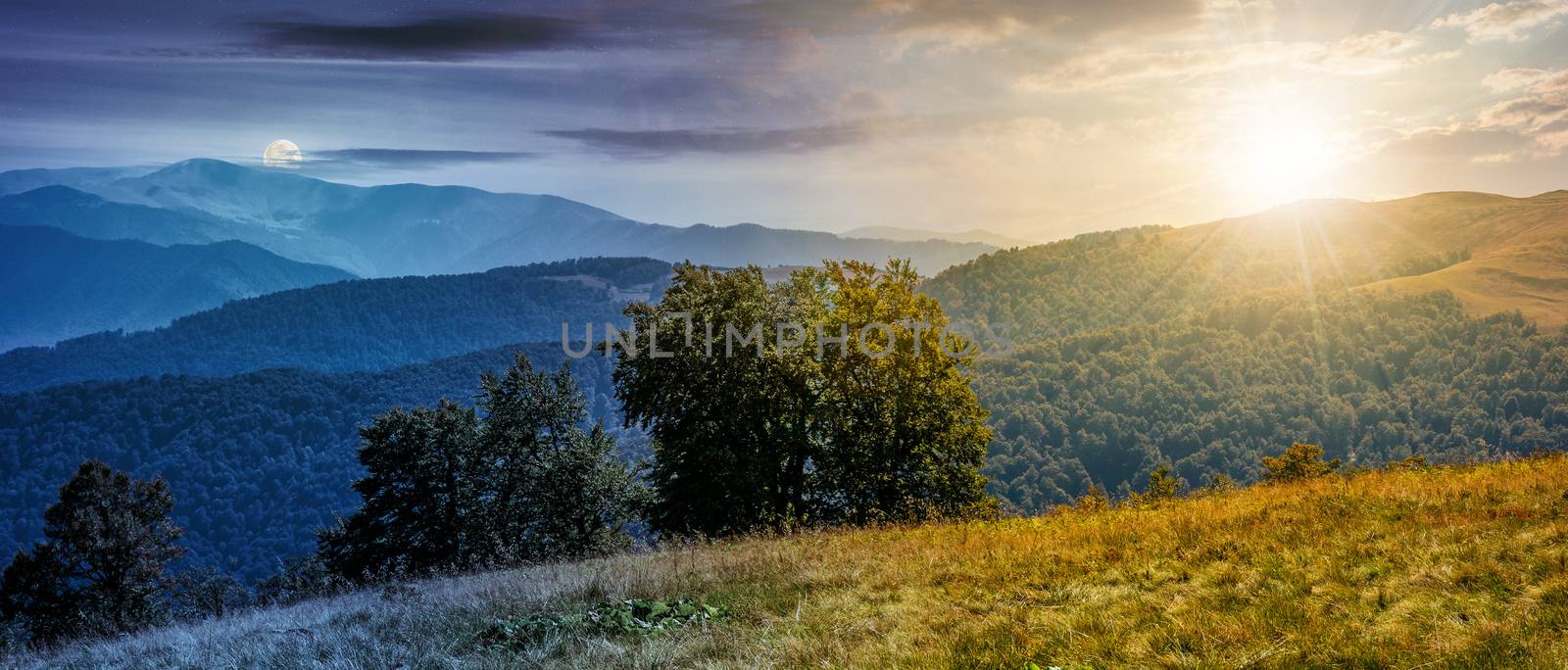 Time and day change concept. beautiful panorama of Carpathian mountains in early autumn weather. few beech tree tops behind the grassy slope of a ridge under sky with clouds with moon and sun