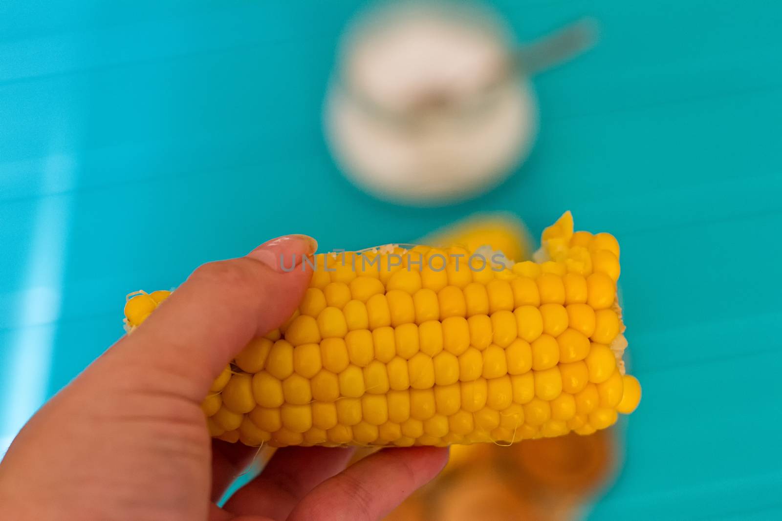 woman hand holding cooked corn on blue background