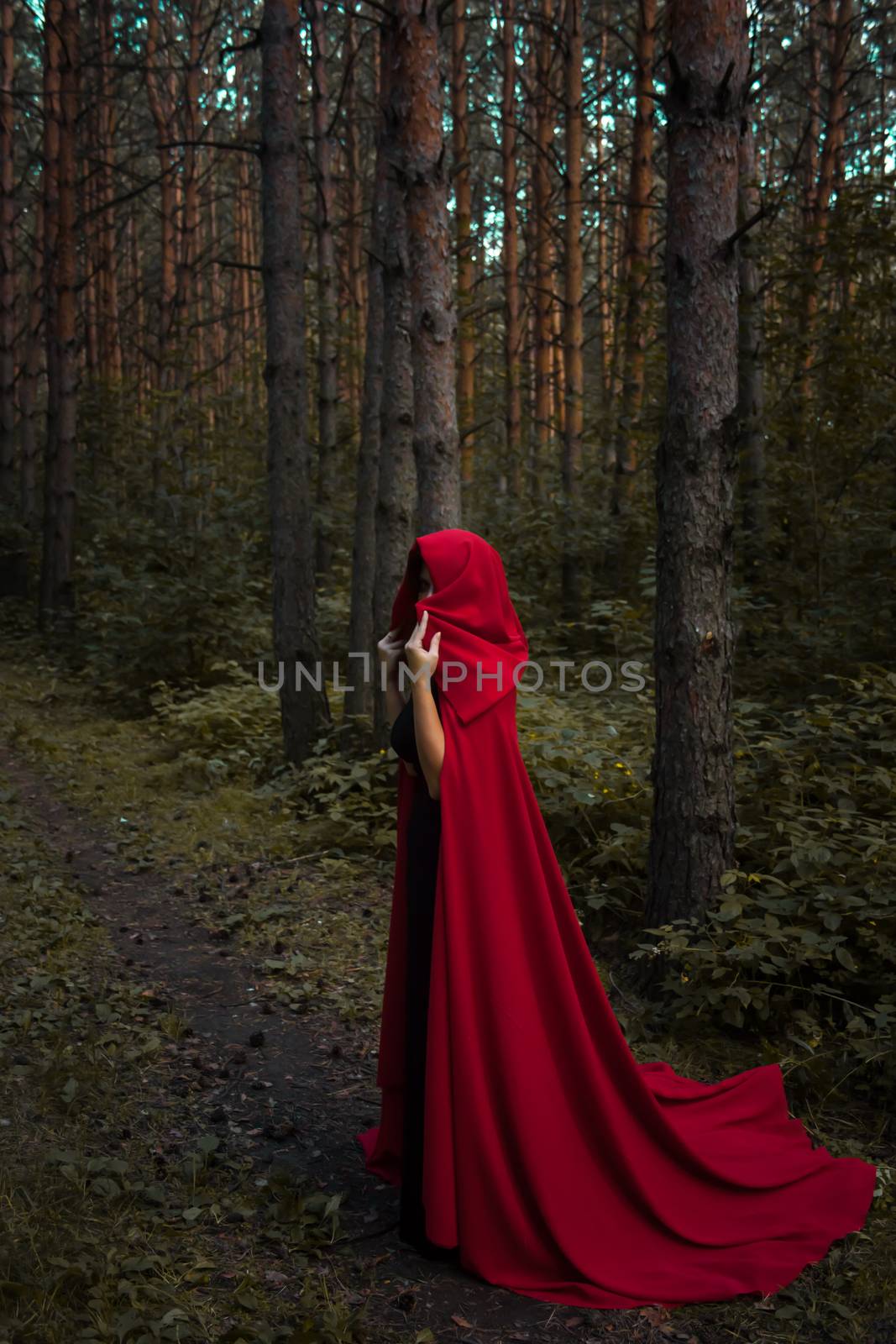 Halloween concept. A witch in red among the pines. Witchcraft and magic. Photo for your design.