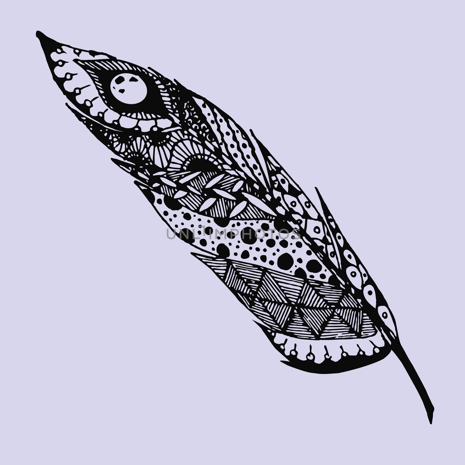 Hand drawn doodle zentangle feather isolated from background. Black and white illustration.