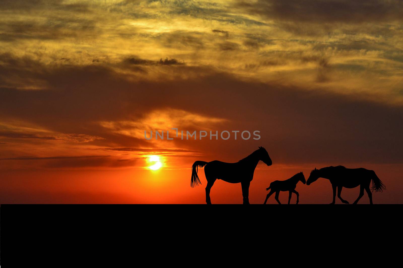 Silhouettes of horse family at sunset by hibrida13