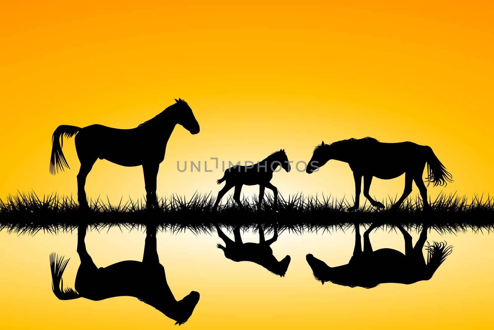 Countryside horses family silhouettes in wild nature landscape