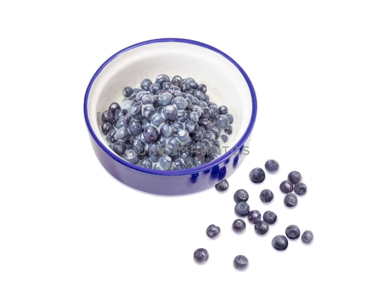 Dessert made of the fresh wild bilberries and sweetened condensed milk in blue bowl and several berries beside on a white background
