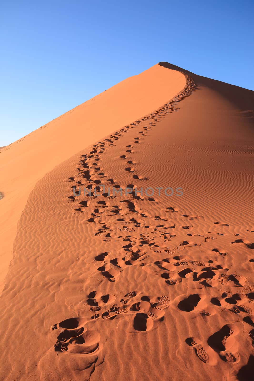 Red dune on the road to Sossusvlei, Namibia
