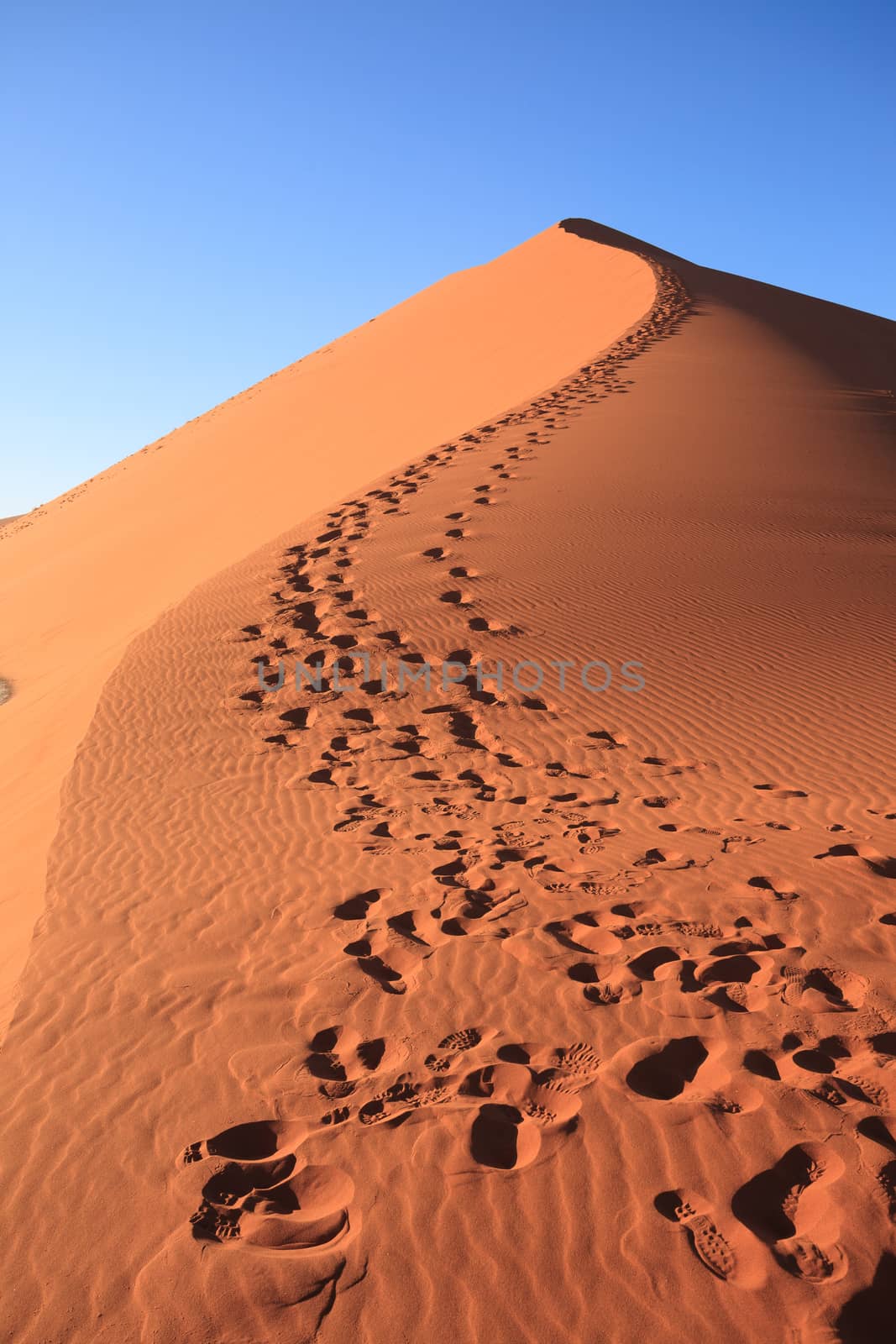 Red dune on the road to Sossusvlei, Namibia