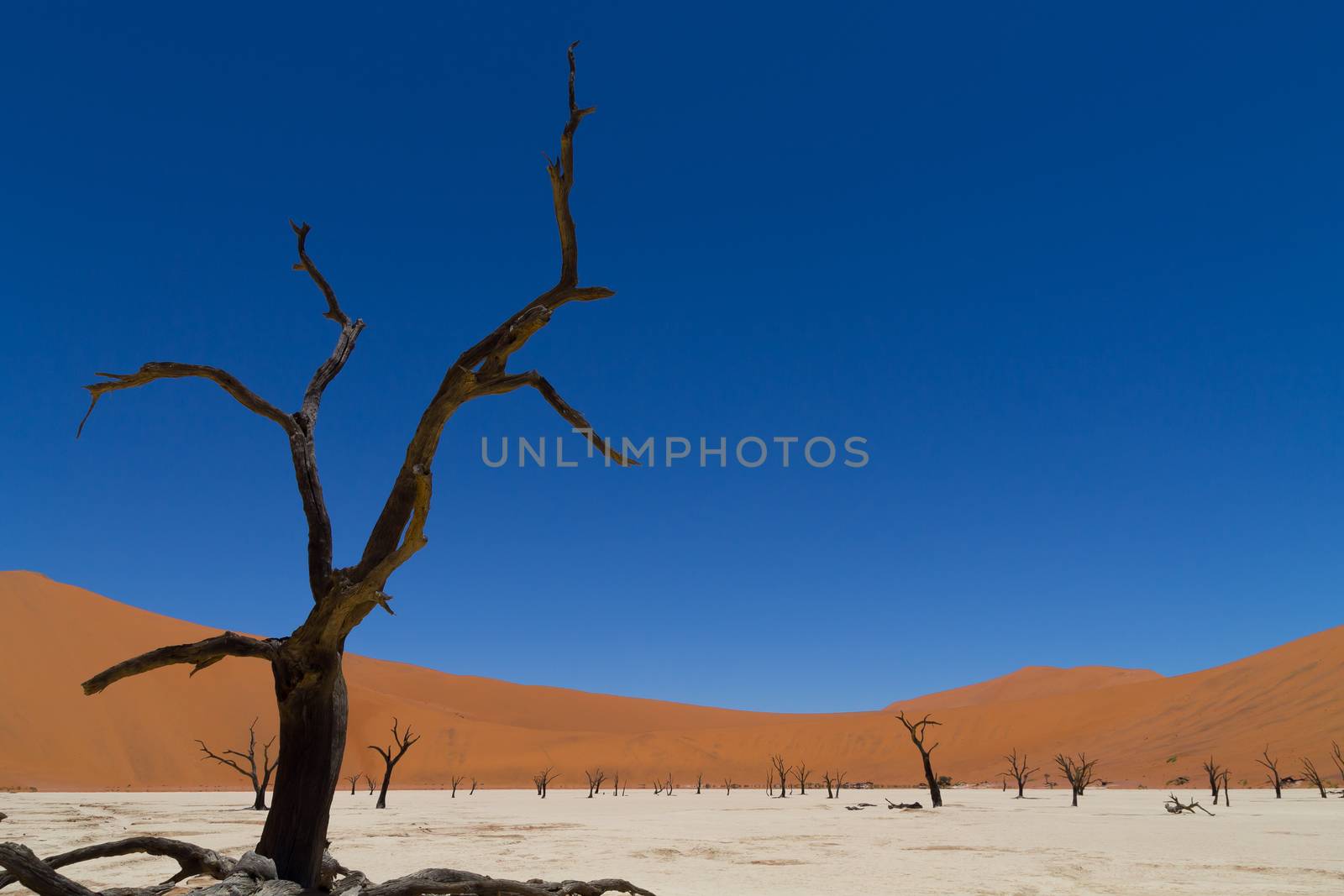 A view from Dead Vlei, Sossusvlei Namibia