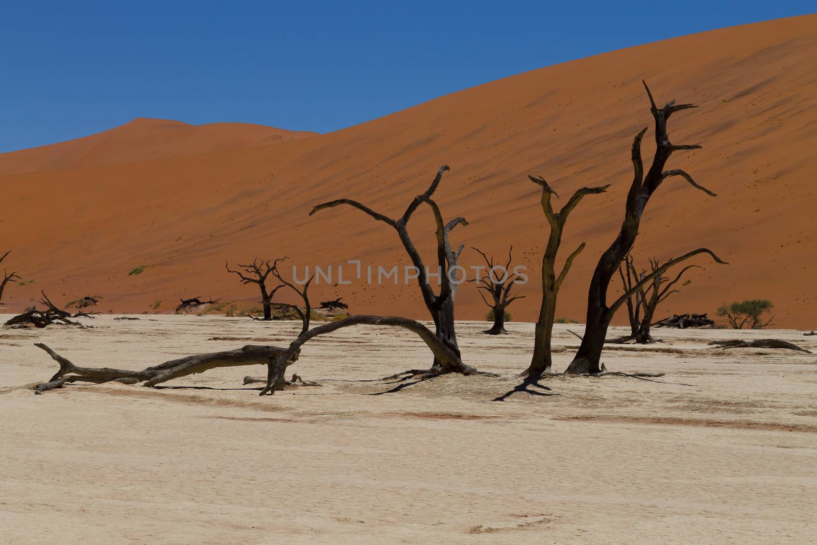 A view from Dead Vlei, Sossusvlei Namibia