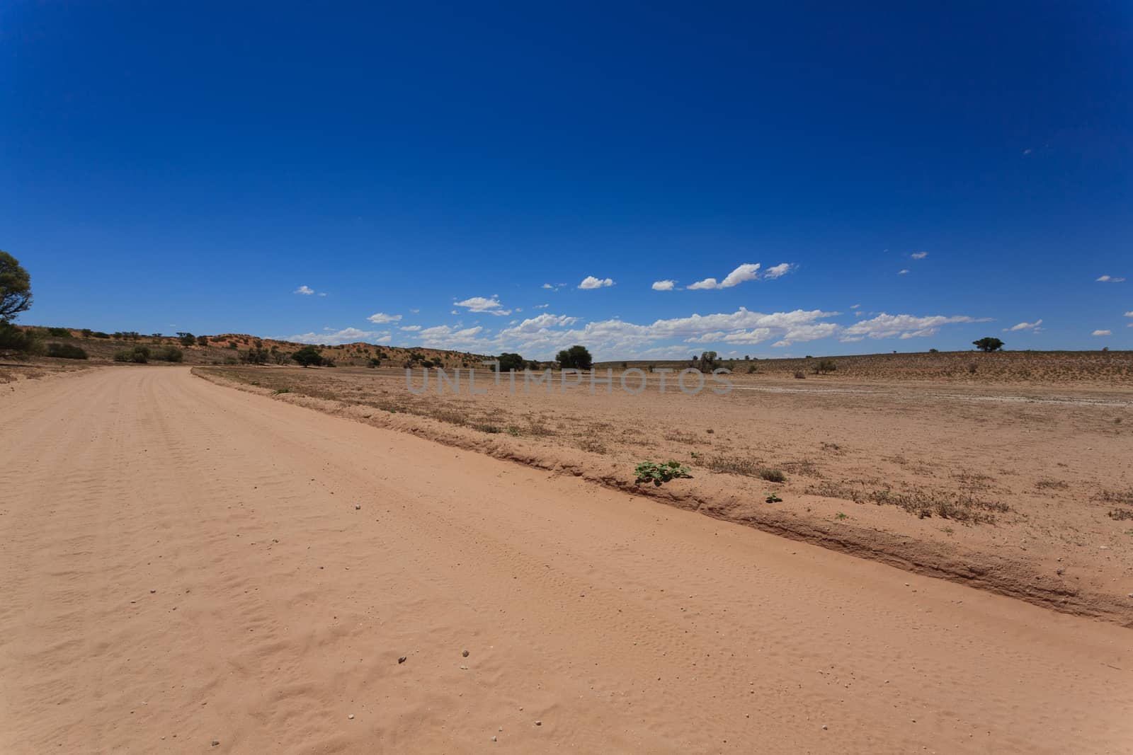 Panorama from Kgalagadi National Park, South Africa