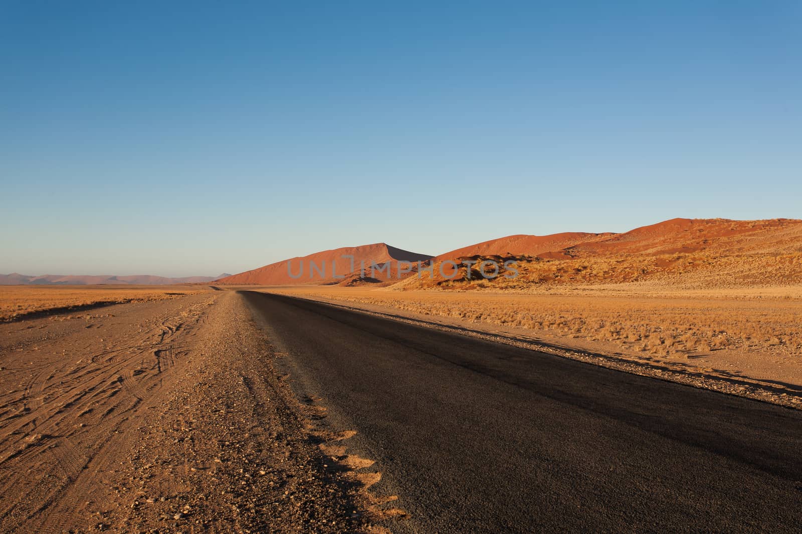 Panorama trought red dunes from Sesriem to Sossusvlei, Namibia