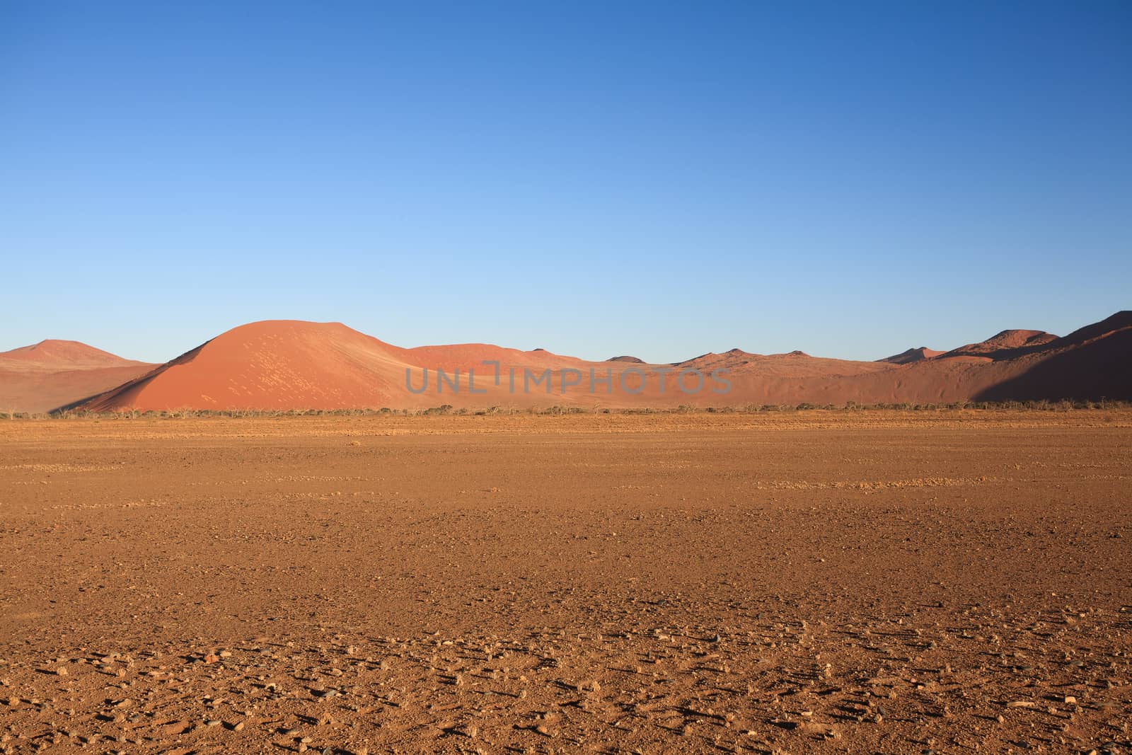 Red dunes on the road to Sossusvlei, Namibia