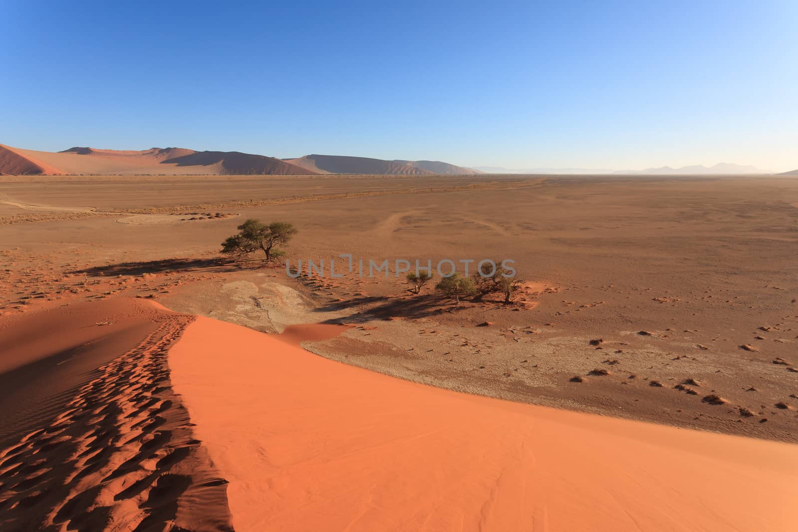 Red dune on the road to Sossusvlei, Namibia