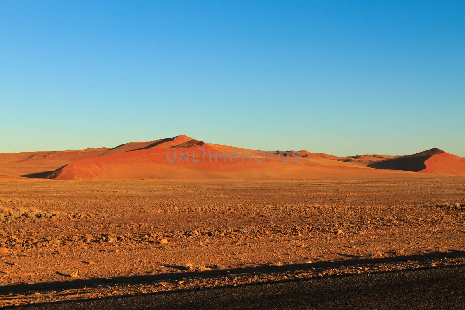 Panorama trought red dunes from Sesriem to Sossusvlei, Namibia