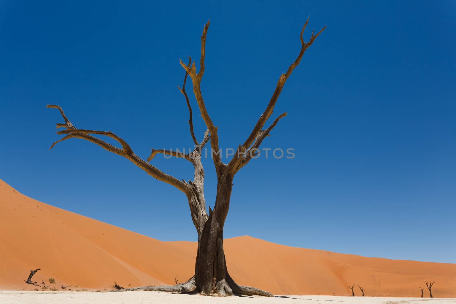 A view from Dead Vlei, Sossusvlei Namibia