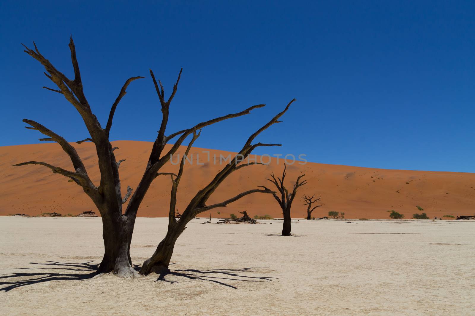 A view from Dead Vlei, Sossusvlei Namibia