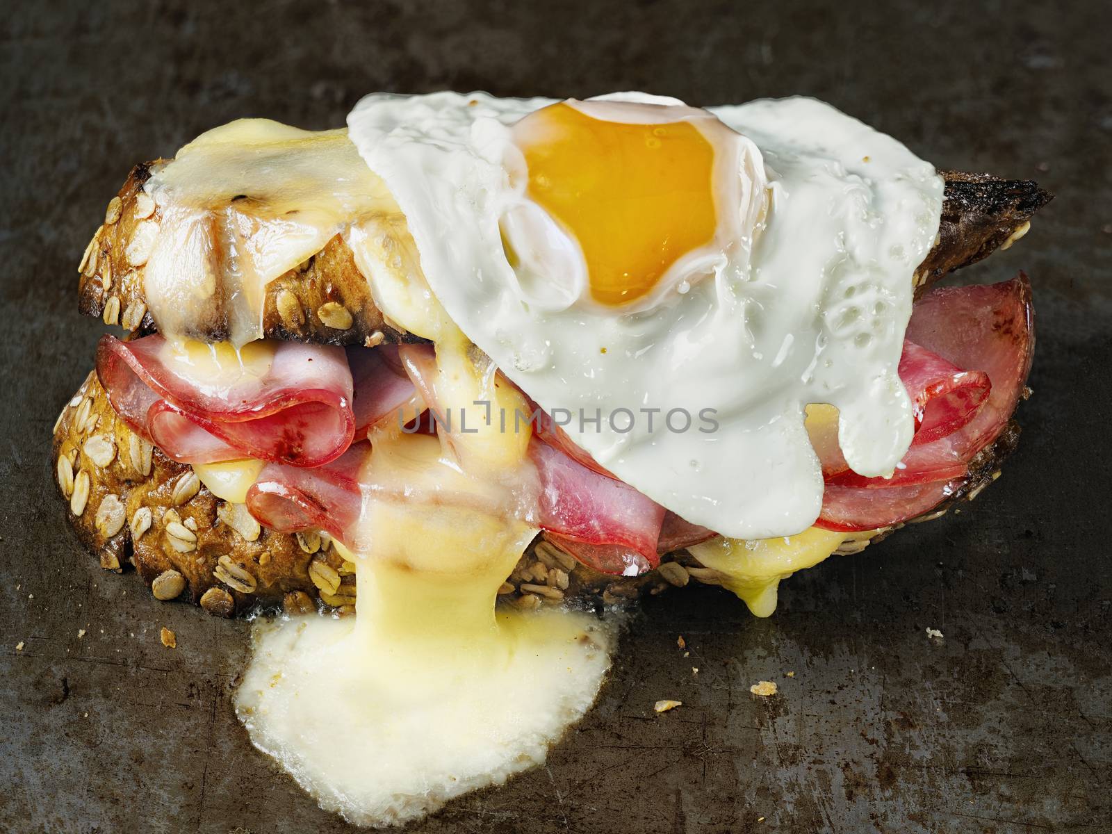 close up of rustic french sandwich croque madam