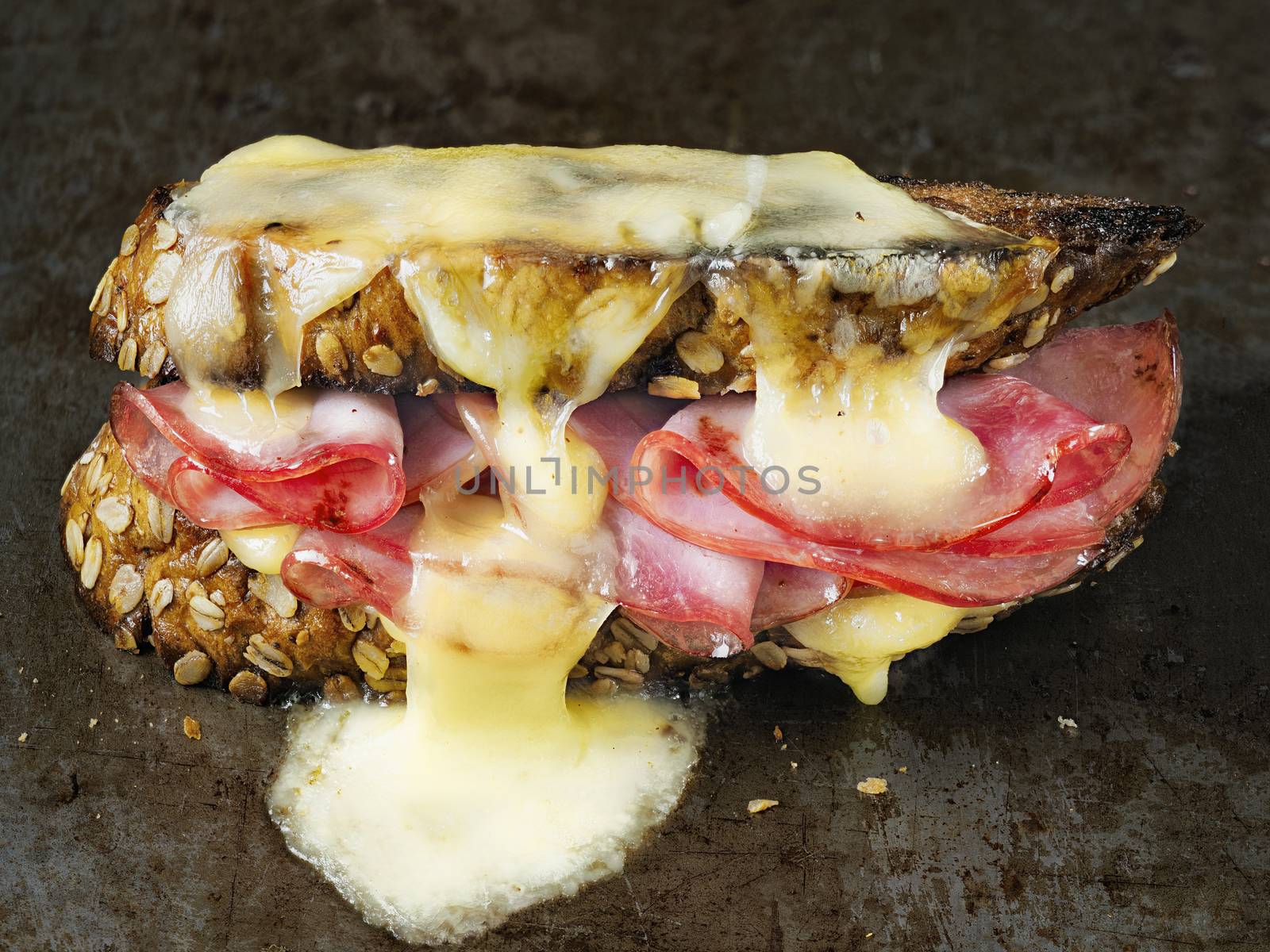 close up of rustic french sandwich croque monsieur