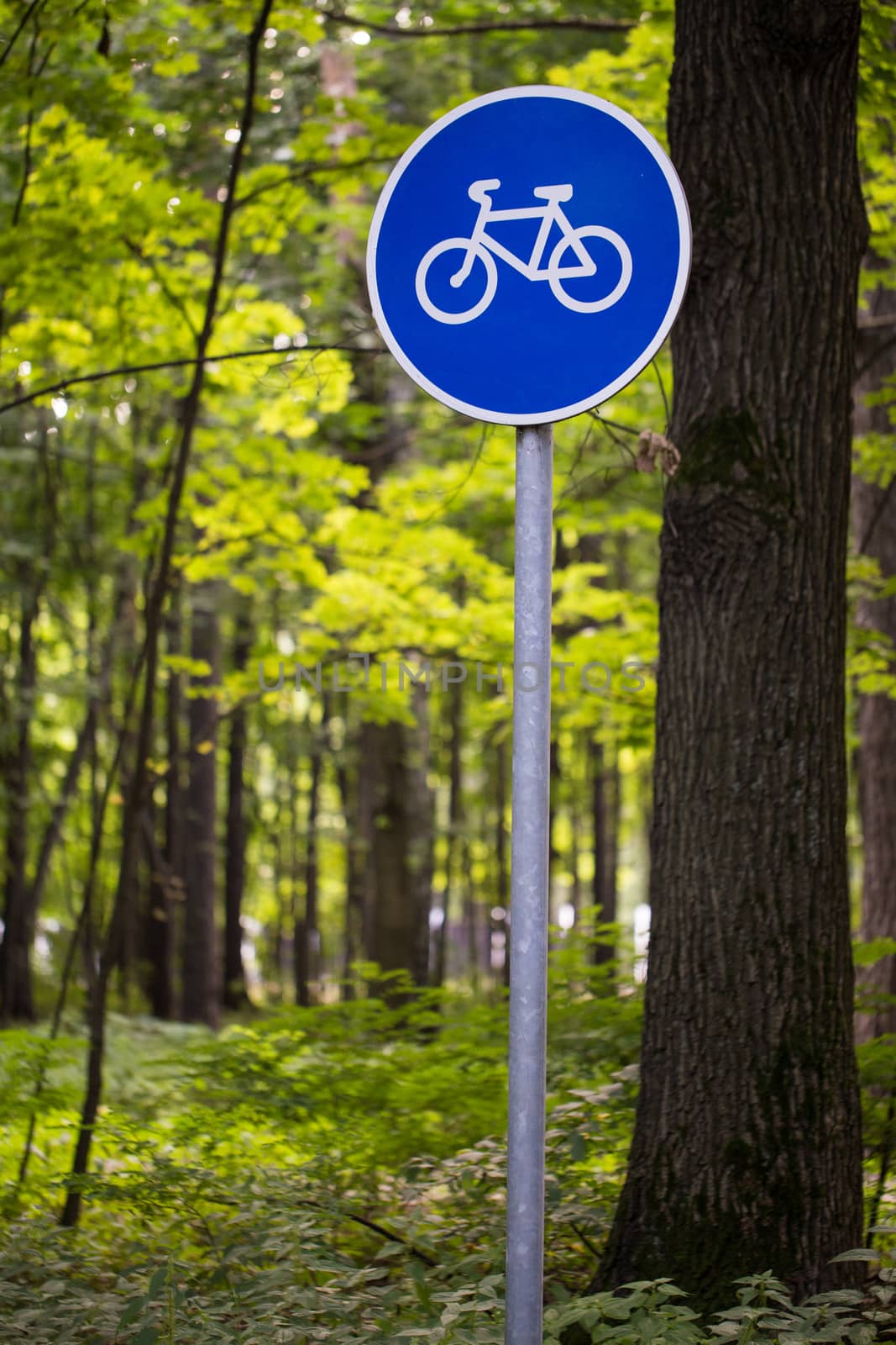 sign Bicycle path in the woods