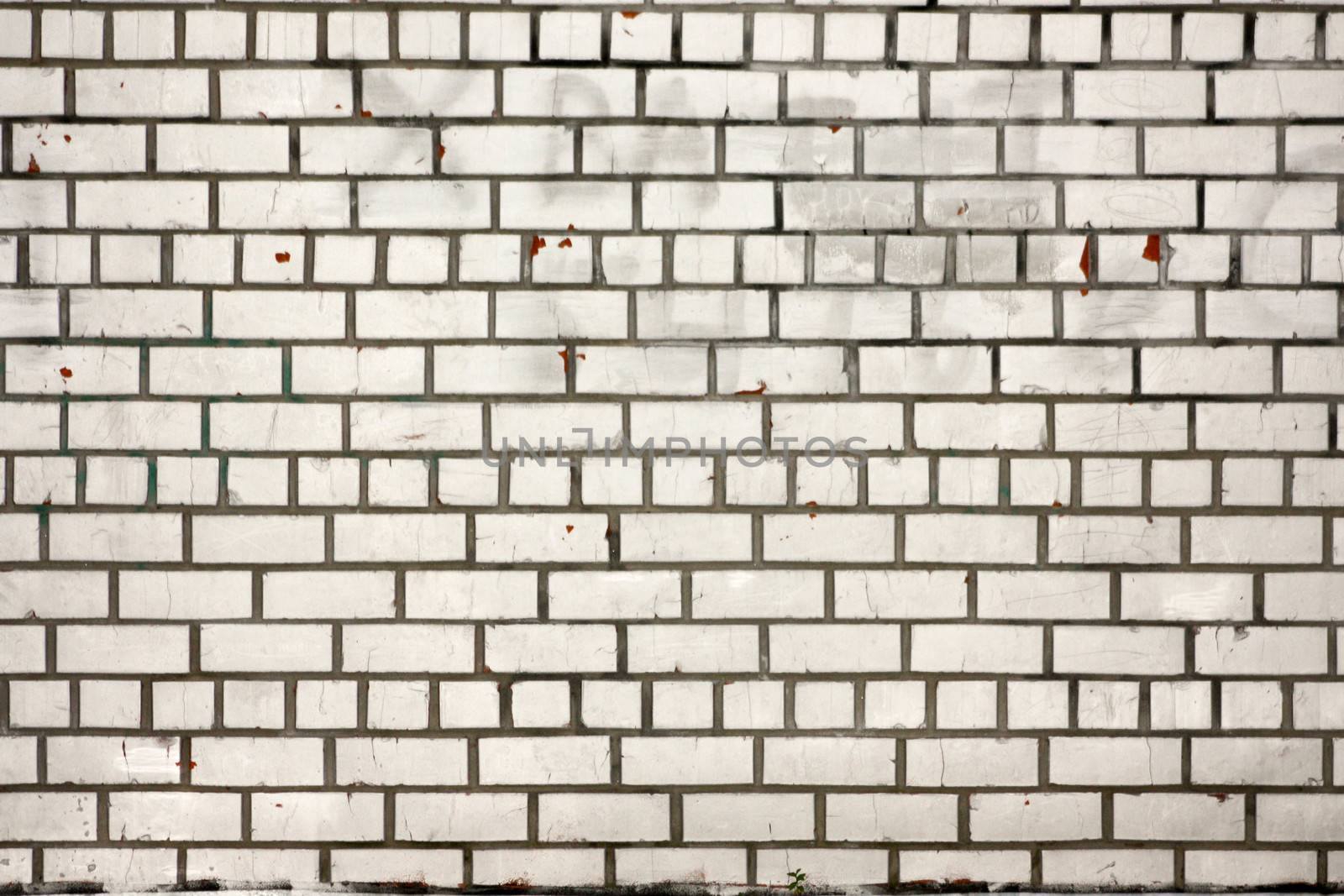 background. White brick wall. Photo for your design